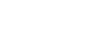 AM Premium Cars