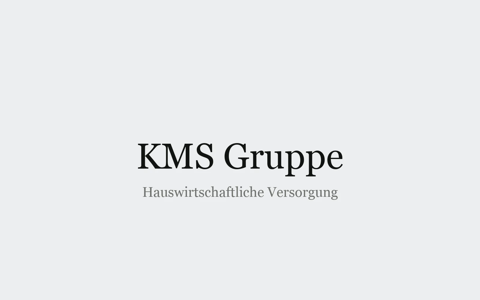 KMS Gruppe, Webauftritt in Planung